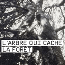 L'arbre qui cache la fort