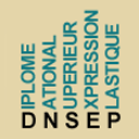 DNSEP