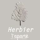 Herbier