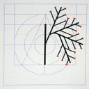 Inflorescences composes